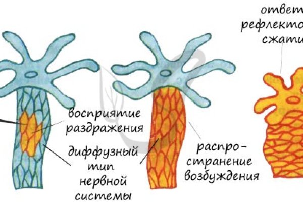 Kraken адрес onion